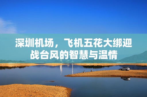 深圳机场，飞机五花大绑迎战台风的智慧与温情