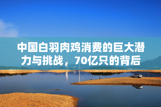 中国白羽肉鸡消费的巨大潜力与挑战，70亿只的背后