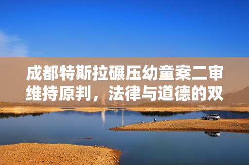 成都特斯拉碾压幼童案二审维持原判，法律与道德的双重审视