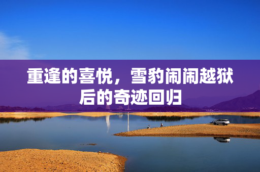 重逢的喜悦，雪豹闹闹越狱后的奇迹回归