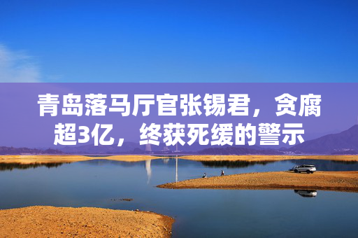 青岛落马厅官张锡君，贪腐超3亿，终获死缓的警示