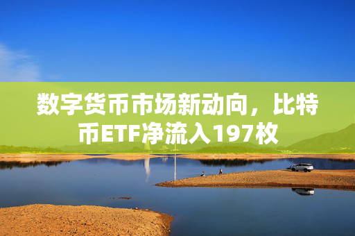 数字货币市场新动向，比特币ETF净流入197枚