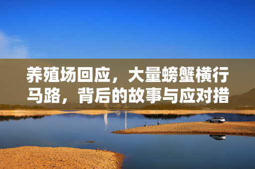 养殖场回应，大量螃蟹横行马路，背后的故事与应对措施
