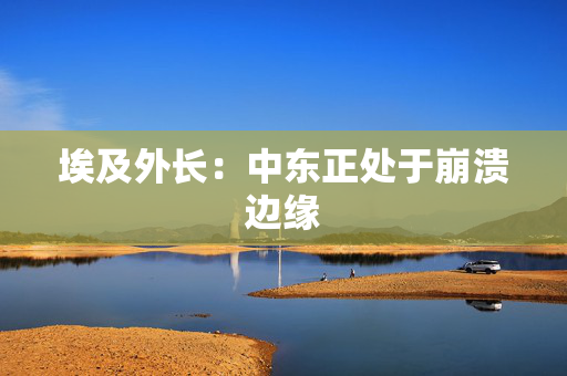 埃及外长：中东正处于崩溃边缘