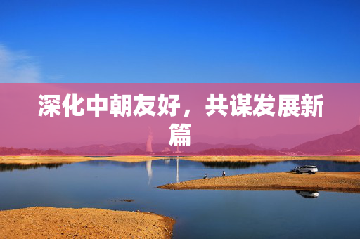 深化中朝友好，共谋发展新篇
