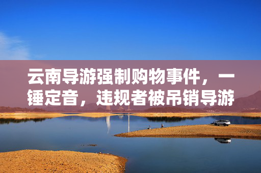 云南导游强制购物事件，一锤定音，违规者被吊销导游证