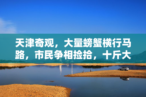 天津奇观，大量螃蟹横行马路，市民争相捡拾，十斤大丰收
