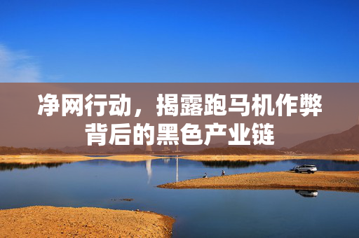 净网行动，揭露跑马机作弊背后的黑色产业链