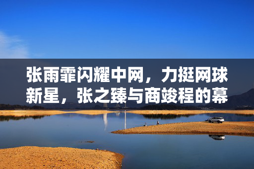 张雨霏闪耀中网，力挺网球新星，张之臻与商竣程的幕后支持者