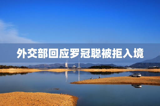 外交部回应罗冠聪被拒入境
