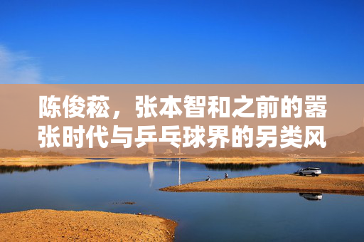 陈俊菘，张本智和之前的嚣张时代与乒乓球界的另类风采