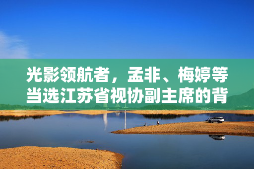 光影领航者，孟非、梅婷等当选江苏省视协副主席的背后与展望