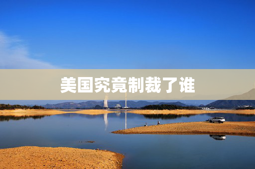 美国究竟制裁了谁