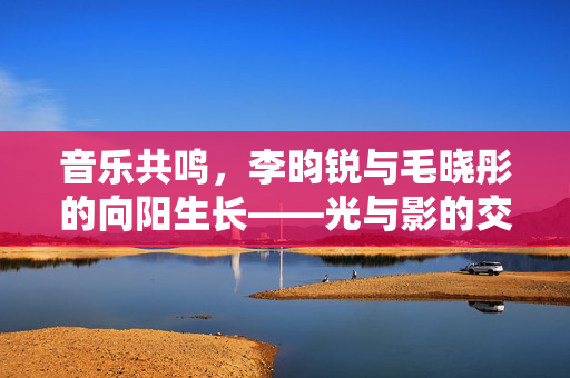 音乐共鸣，李昀锐与毛晓彤的向阳生长——光与影的交响