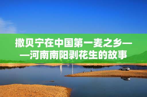 撒贝宁在中国第一麦之乡——河南南阳剥花生的故事