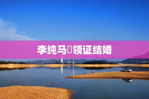 李纯马頔领证结婚