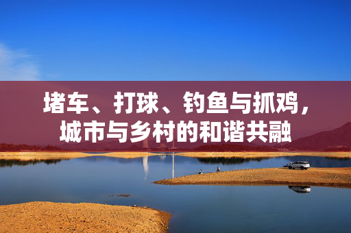 堵车、打球、钓鱼与抓鸡，城市与乡村的和谐共融