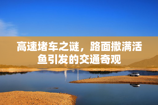 高速堵车之谜，路面撒满活鱼引发的交通奇观