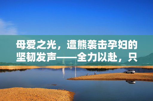 母爱之光，遭熊袭击孕妇的坚韧发声——全力以赴，只为守护新生命