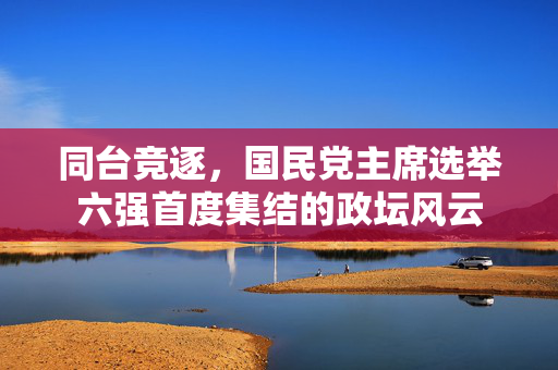 同台竞逐，国民党主席选举六强首度集结的政坛风云