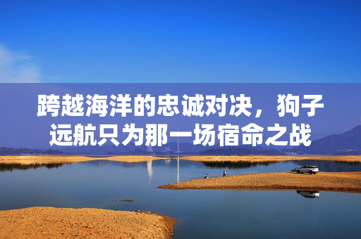 跨越海洋的忠诚对决，狗子远航只为那一场宿命之战
