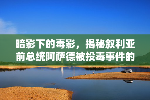 暗影下的毒影，揭秘叙利亚前总统阿萨德被投毒事件的多重谜团