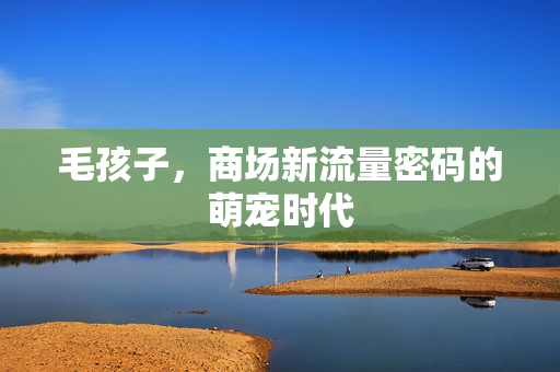 毛孩子，商场新流量密码的萌宠时代