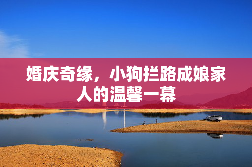 婚庆奇缘，小狗拦路成娘家人的温馨一幕