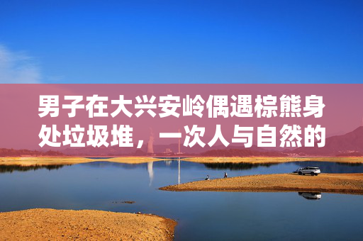 男子在大兴安岭偶遇棕熊身处垃圾堆，一次人与自然的意外邂逅