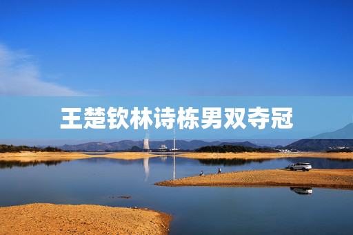 王楚钦林诗栋男双夺冠