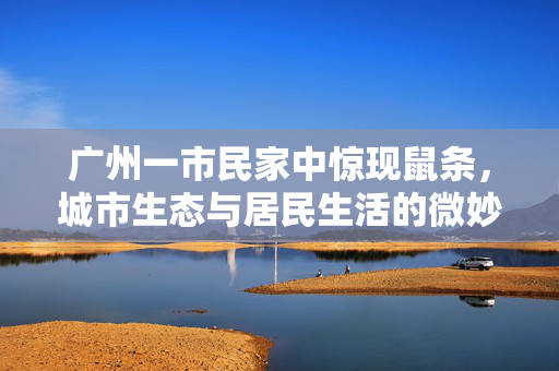 广州一市民家中惊现鼠条，城市生态与居民生活的微妙交集