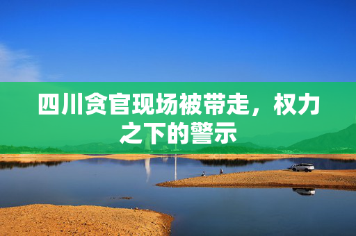 四川贪官现场被带走，权力之下的警示