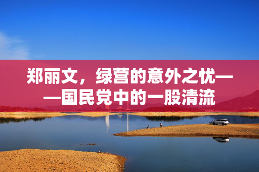 郑丽文，绿营的意外之忧——国民党中的一股清流