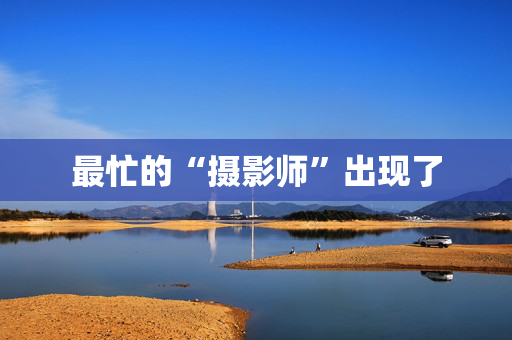 最忙的“摄影师”出现了