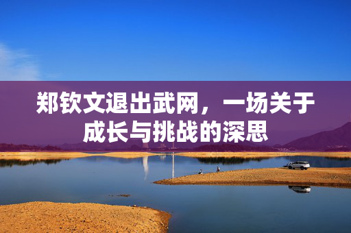 郑钦文退出武网，一场关于成长与挑战的深思