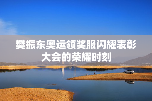 樊振东奥运领奖服闪耀表彰大会的荣耀时刻