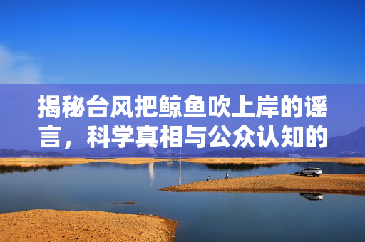 揭秘台风把鲸鱼吹上岸的谣言，科学真相与公众认知的误区