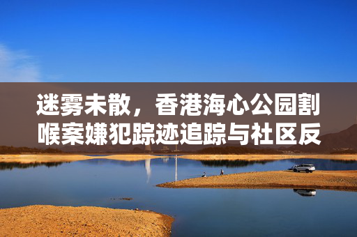 迷雾未散，香港海心公园割喉案嫌犯踪迹追踪与社区反思