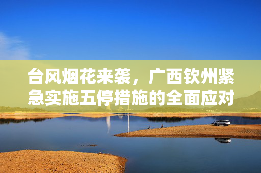 台风烟花来袭，广西钦州紧急实施五停措施的全面应对与思考
