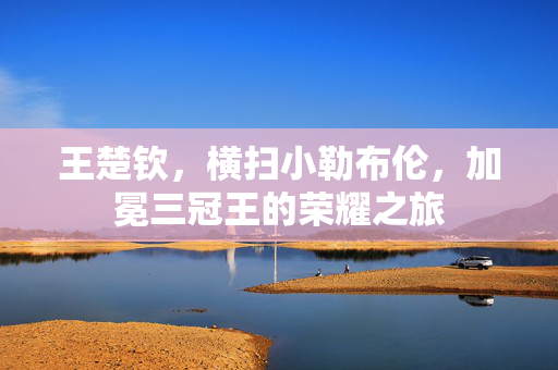 王楚钦，横扫小勒布伦，加冕三冠王的荣耀之旅