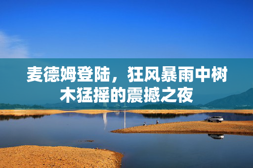 麦德姆登陆，狂风暴雨中树木猛摇的震撼之夜