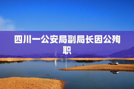 四川一公安局副局长因公殉职