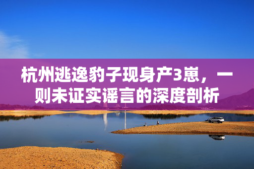 杭州逃逸豹子现身产3崽，一则未证实谣言的深度剖析