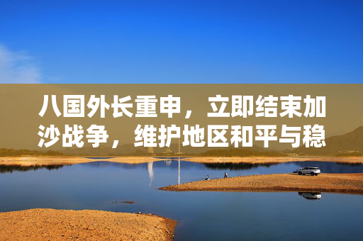 八国外长重申，立即结束加沙战争，维护地区和平与稳定