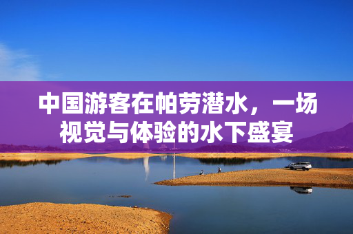 中国游客在帕劳潜水，一场视觉与体验的水下盛宴