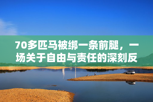 70多匹马被绑一条前腿，一场关于自由与责任的深刻反思