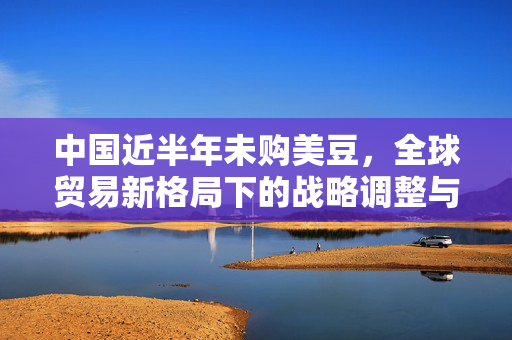 中国近半年未购美豆，全球贸易新格局下的战略调整与影响