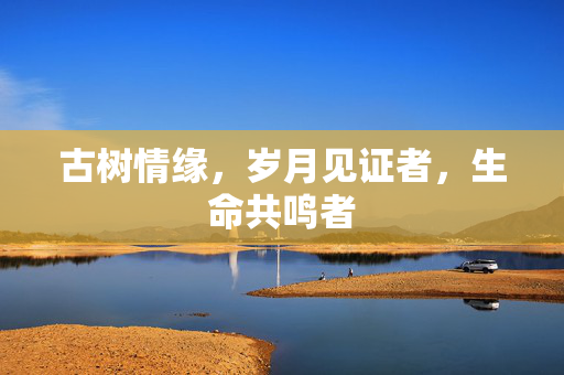 古树情缘，岁月见证者，生命共鸣者