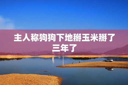 主人称狗狗下地掰玉米掰了三年了