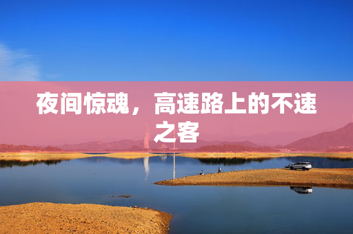 夜间惊魂，高速路上的不速之客